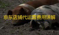 京东店铺代运营费用详解:服务费、广告投放及其他运营成本全解析