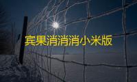 宾果消消消小米版
