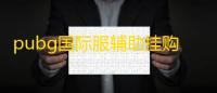 pubg国际服辅助挂购买